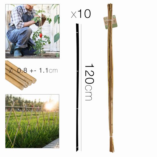 TUTOR PLANTAS DE BAMBU X10 - Diam 0.8-1.1 x 120 cm
